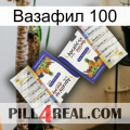 Вазафил 100 12